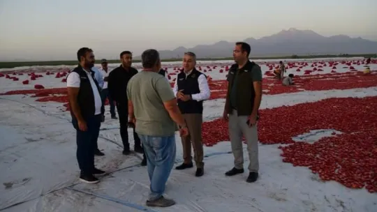 Erciyes'in etekleri kırmızıya boyandı