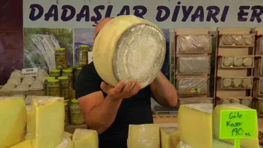 Eski kaşar adeta doğal antibiyotik gibi