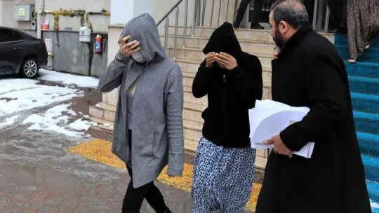 Ev ve iş yeri fareleri yakalandı