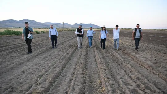 Genç çiftçiler Erciyes'in eteğinde marul üretiyor