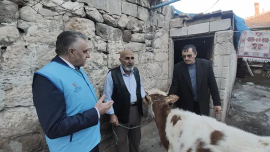 Gözü gibi baktığı danasını depremzedelere bağışladı