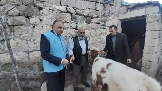 Gözü gibi baktığı danasını depremzedelere bağışladı