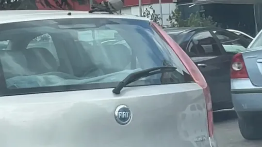 Güvercin otomobilin tavanına kondu, şehir turu attı