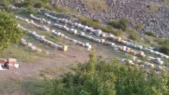 Hacılar balı 'Hacılarım Süzme Çiçek Balı' markası ile tüketiciye sunuldu