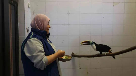 Hayvanat bahçesi sakinlerine kışa özel bakım