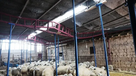 Hayvanları telef olmaktan kurtarılan çiftçi, Başkan Çolakbayrakdar'a teşekkür etti