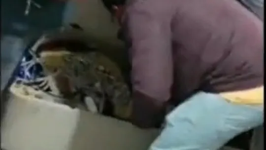 Hırsızlık şüphelisi 4 kişi böyle yakalandı