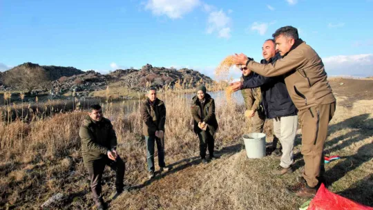Hürmetçi Sazlığı'nda Yemleme Çalışması Yapıldı