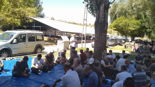 İlim Hikmet Vakfı mensupları piknikte buluştu