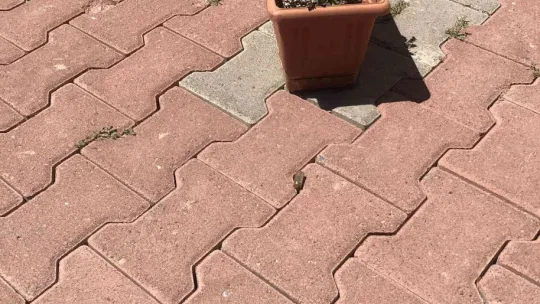 İş adamı cinayetinde sanıklara mahkemeden ceza yağdı