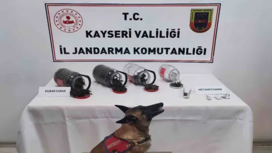 Jandarmadan uyuşturucu operasyonu: 1 gözaltı