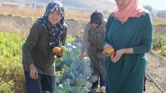Kadınlar topraktan sofraya üretim yapıyor