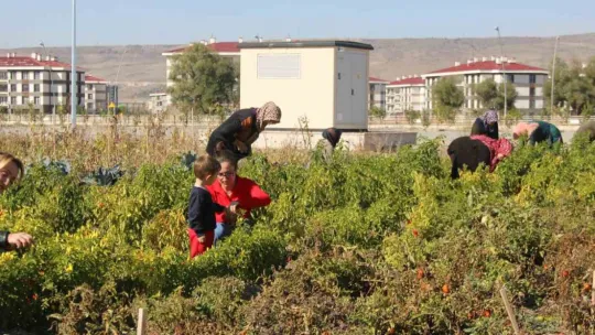 Kadınlar topraktan sofraya üretim yapıyor
