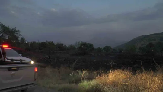 Kaplumbağayı yanmaktan itfaiye kurtardı