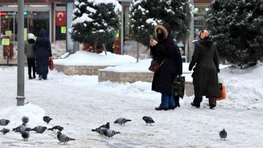 Kar, Kayseri'ye çok yakıştı
