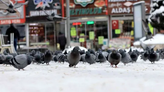 Kar, Kayseri'ye çok yakıştı