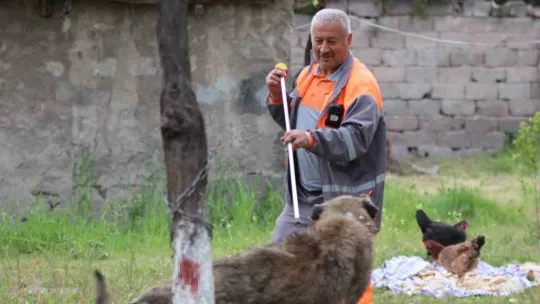 Kasıtlı tahrik edilen köpek 'silahla tehdit' suçu oluşturuyor
