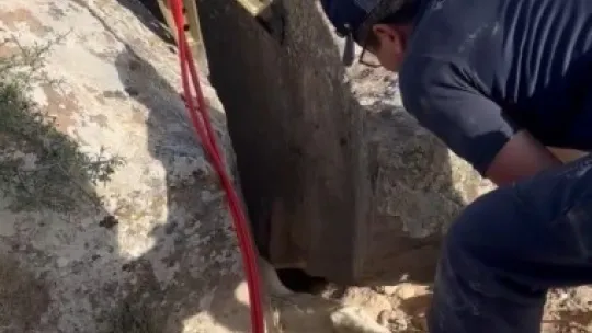 Kayalıklara sıkışan kuzu 2,5 saatlik çalışma ile kurtarıldı
