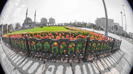 Kayseri'de 1 milyon çiçek açtı