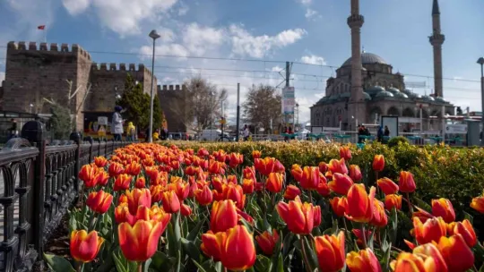 Kayseri'de 1 milyon çiçek toprakla buluşacak