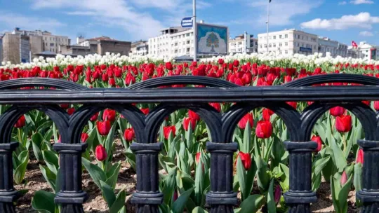 Kayseri'de 1 milyon çiçek toprakla buluşacak