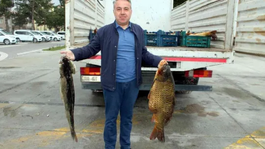 Kayseri'de 2 buçuk ton kaçak balık ele geçirildi