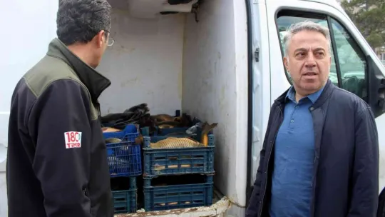 Kayseri'de 2 buçuk ton kaçak balık ele geçirildi