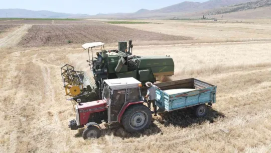 Kayseri'de ata yadigarı gacerin hasadı başladı