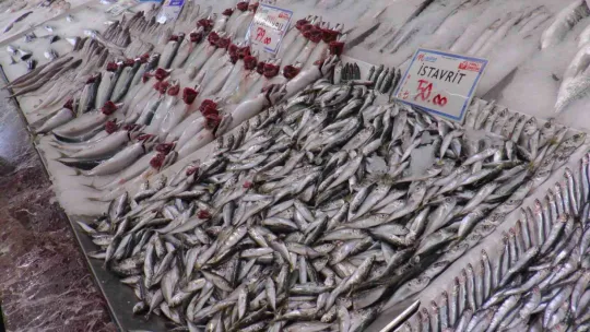 Hamsiye ilgi yoğun