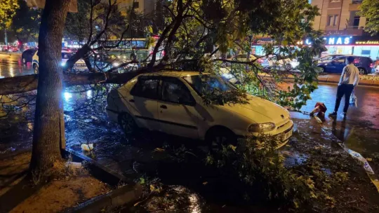Kayseri'de şiddetli rüzgar ağaçları devirdi, vatandaşlar yolda mahsur kaldı