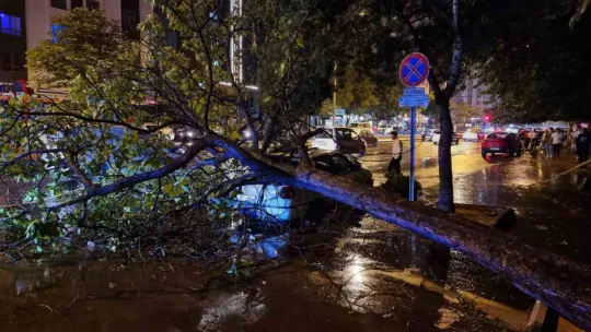 Kayseri'de şiddetli rüzgar ağaçları devirdi, vatandaşlar yolda mahsur kaldı