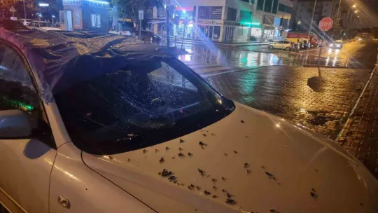Kayseri'de şiddetli rüzgar ağaçları devirdi, vatandaşlar yolda mahsur kaldı