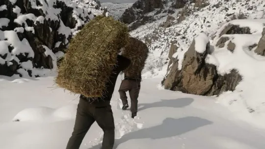 Kayseri'de yaban hayatına destek
