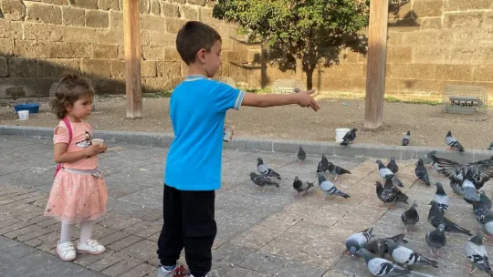 Kayseri emniyeti hayvanları unutmadı