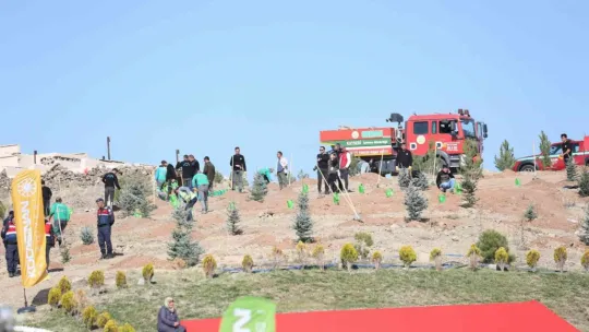 Kayseri'nin denizi ağaçlandırılıyor