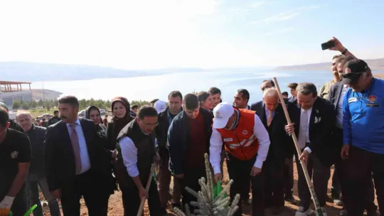 Kayseri'nin denizi ağaçlandırılıyor