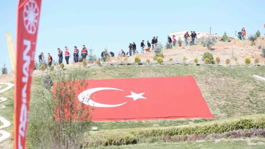 Kayseri'nin denizi ağaçlandırılıyor