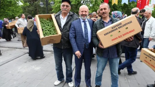 Kocasinan Belediyesi domates fidesi alacak