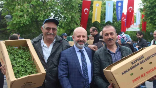Kocasinan Belediyesi domates fidesi alacak