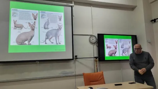 Kocasinan Belediyesi'nden veterinerlik personeline sertifikalı eğitim