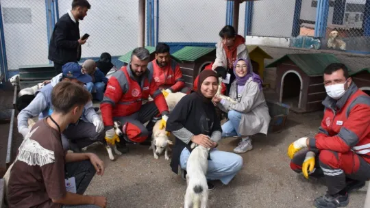 Kocasinan Belediyesi'nin küçük dostlar çalışmalarına üniversiteli öğrencilerinden destek