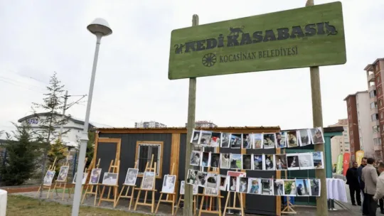 Kocasinan'da Kedi Temalı Fotoğraf Yarışması'nda kazananlar ödüllerini aldı