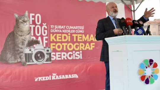Kocasinan'da Kedi Temalı Fotoğraf Yarışması'nda kazananlar ödüllerini aldı