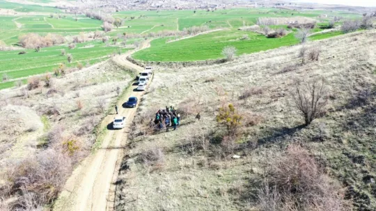 Kocasinan'da yabani alıç ağaçları, ekonomik değere dönüşüyor