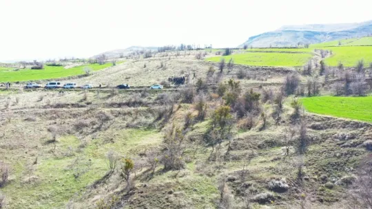 Kocasinan'da yabani alıç ağaçları, ekonomik değere dönüşüyor