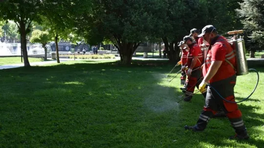 Kocasinan'dan huzurlu bir yaz için haşere ile mücadele