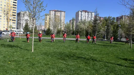 Haşere ile mücadele başladı