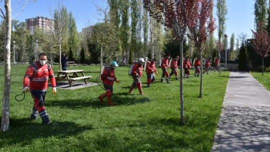 Haşere ile mücadele başladı