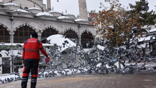 Kocasinan'dan Soğuk Havada Sokak Hayvanları İçin Yemleme Çalışması
