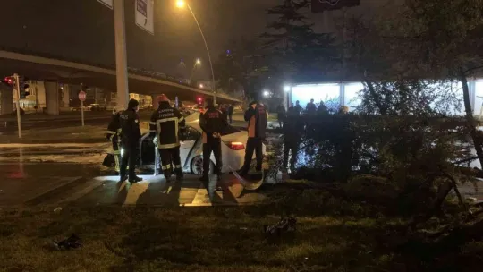 Kontrolden çıkan otomobil ağacı devirerek takla attı: 2 yaralı